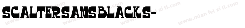 scalter Sans Black S字体转换